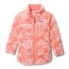 Hot Coral Rosecity