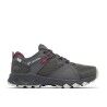 Dark Grey / Deep Madeira