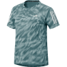 Halo Mint / Mint Ton