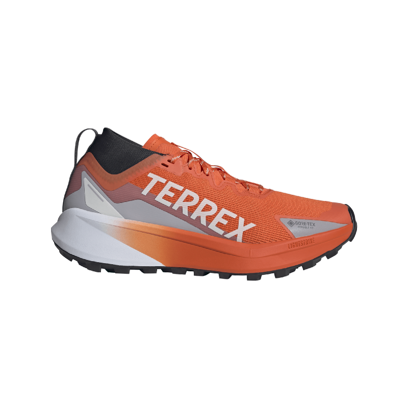 Terrex Agravic GTX - Chaussures trail femme