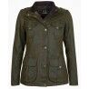 Olive / Classic