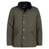 Dark Olive