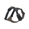 Basalt Gray