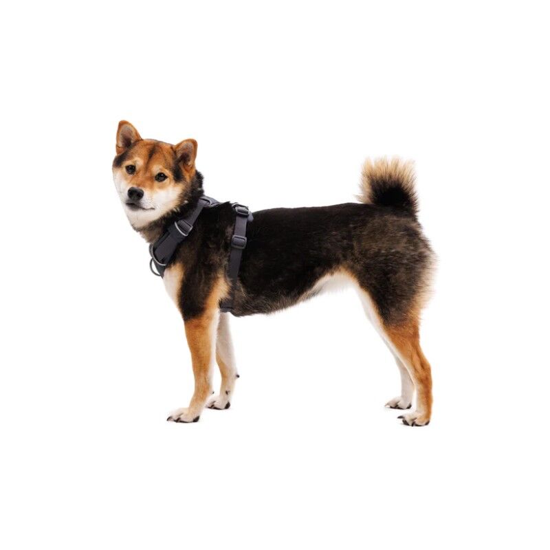 Ruffwear Webmaster - Arnés para perro