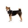 Ruffwear Webmaster - Dog harness