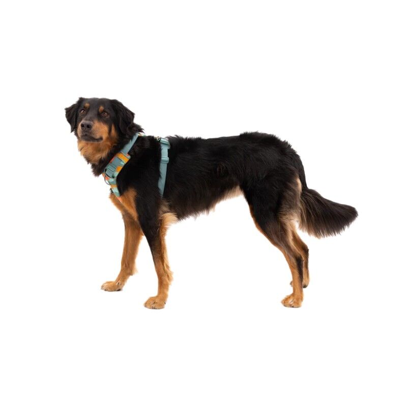 Ruffwear Webmaster - Hundsele