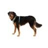 Ruffwear Webmaster - Dog harness