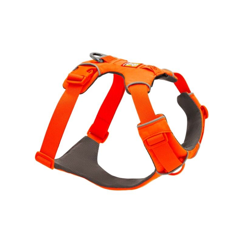 Webmaster - Dog harness