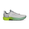 Gray / Lime