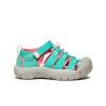 Bright Aqua / Pink-A-Boo