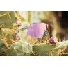 100% S3 Photochromic Cat 0-2 - Okulary rowerowe | Hardloop