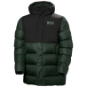 Dark Jungle