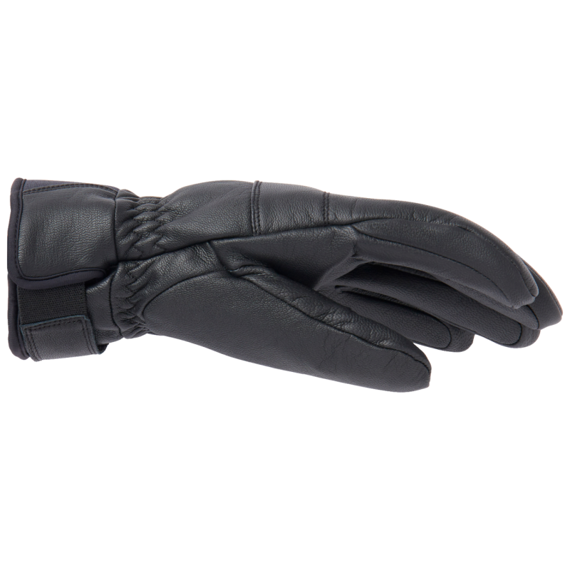 Alpha Glove - Skihandschuhe - Herren