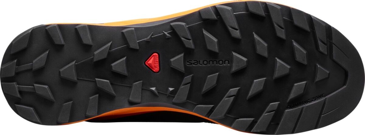 Salomon X Alpine /Pro - Trailrunningschuhe - Herren