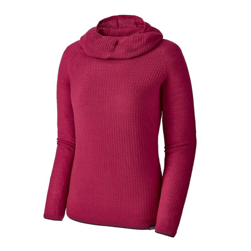 Capilene air 2025 hoody womens