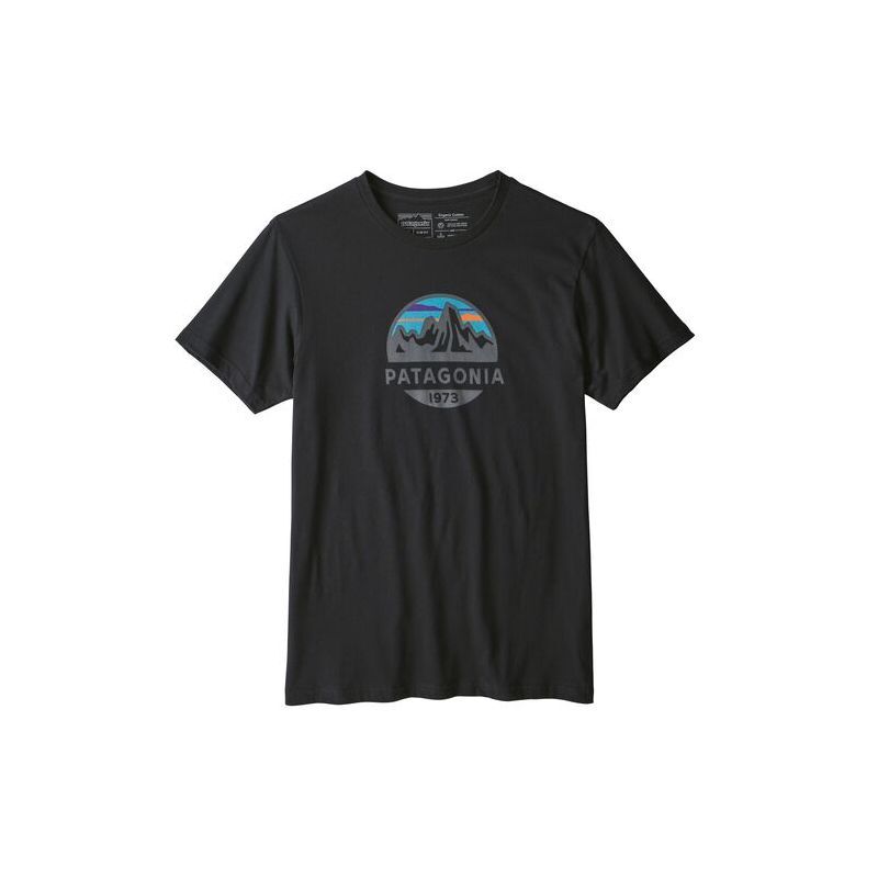 Patagonia Fitz Roy Scope Organic T T Shirt Men s