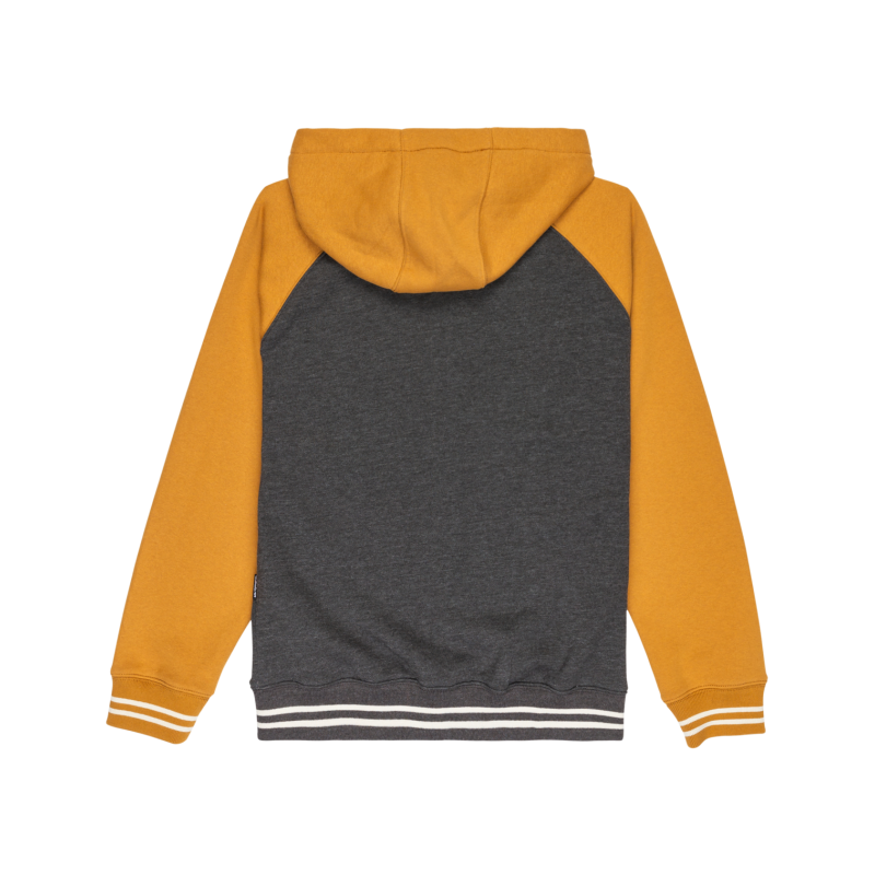 Quiksilver Knowledge Area Fz Youth - Bluza z kapturem dziecięca | Hardloop