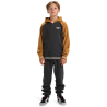 Quiksilver Knowledge Area Fz Youth - Hoodie - Kinderen | Hardloop