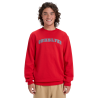 Quiksilver Graphic Crew - Bluza męska | Hardloop