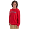 Quiksilver Graphic Crew - Bluza męska | Hardloop