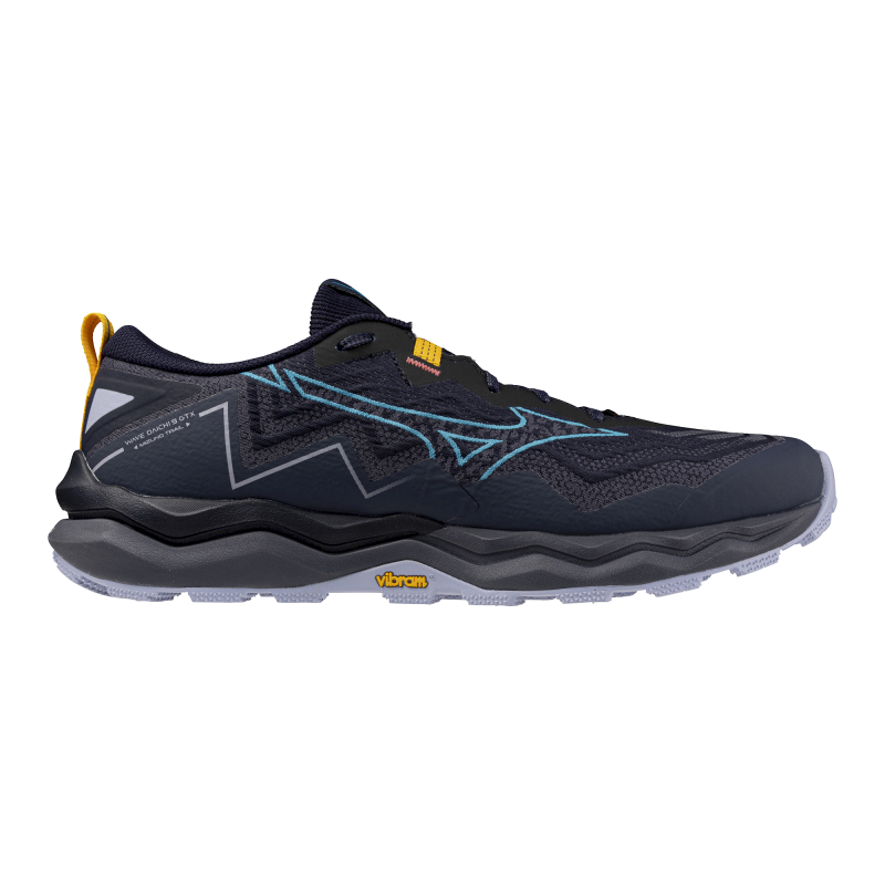 Mizuno Wave Daichi 9 GTX - Chaussures trail homme | Hardloop