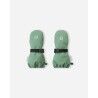 Green Clay