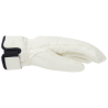 Helly Hansen Alphelia Glove - Guanti da sci - Donna | Hardloop