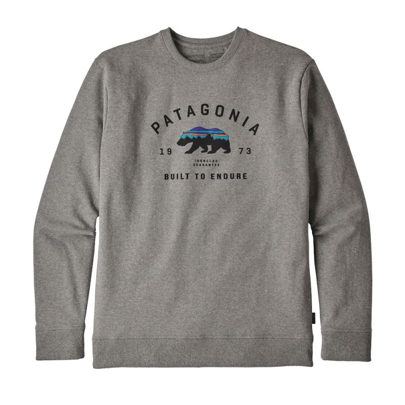 Patagonia hoodie bear online