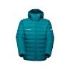 Deep Teal