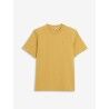 Ochre