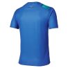 Mizuno Core Graphic Short Sleeve Tee - Pánské triko | Hardloop