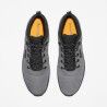 Timberland Field Trekker Low Lace Up - Urban sko - Herrer | Hardloop