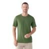 Fern Green