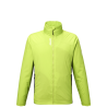 Macaw Green