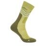 Olive / Loden / Ashen