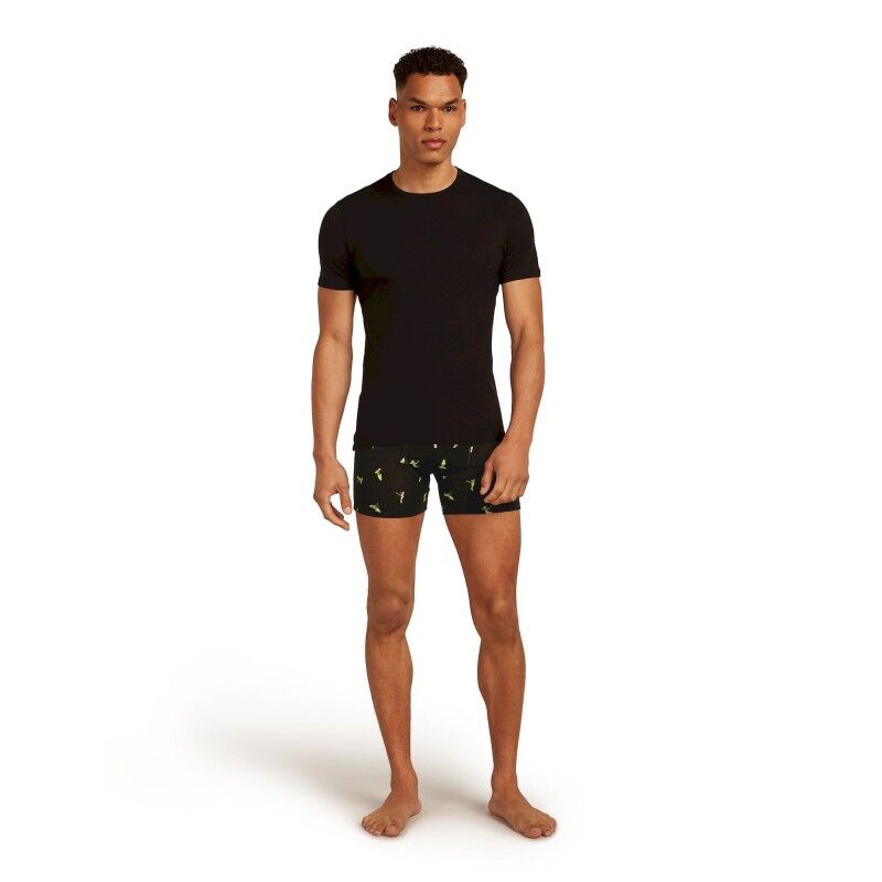 icebreaker 150 Anatomica Boxers Ski Day - Merinowol Onderbroeken | Hardloop