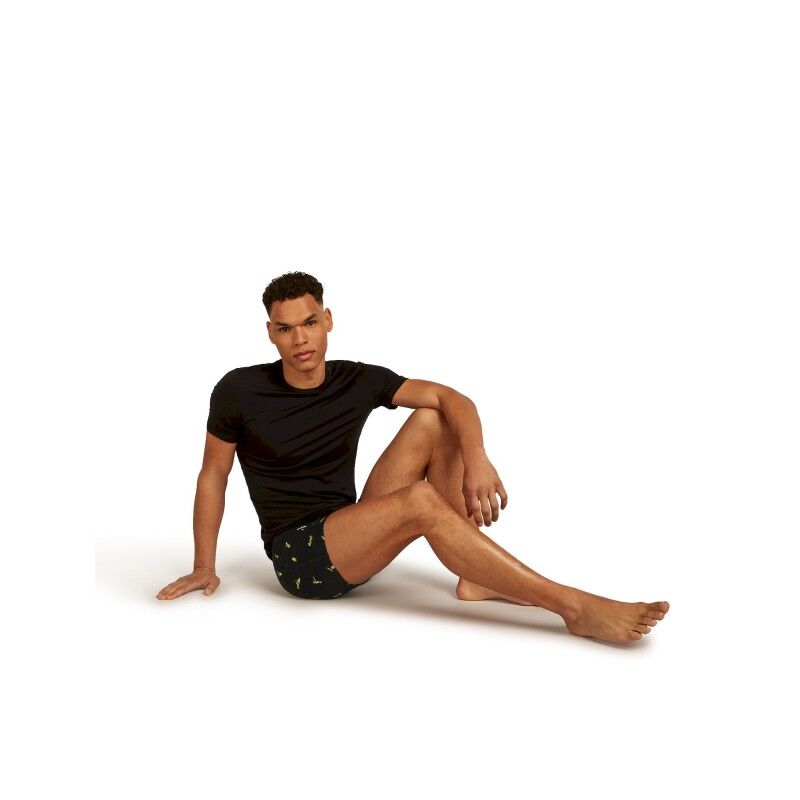 icebreaker 150 Anatomica Boxers Ski Day - Boxer laine mérinos homme | Hardloop