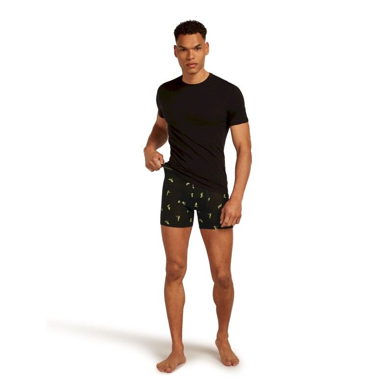 icebreaker 150 Anatomica Boxers Ski Day - Merino Wool Boxer | Hardloop