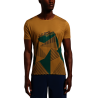 Savana / Jungle