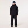 Oakley Sub Temp RC Gore-Tex Pant 2.0 - Ski trousers - Men's | Hardloop