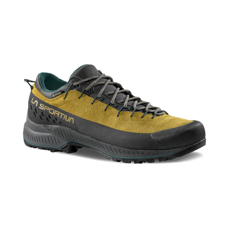 TX4 Evo GTX - Approachschoenen - Heren