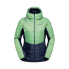 Aspen Green / Night Sky