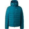 Deep Teal