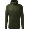 Seaweed Green