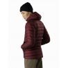 Arc'teryx Cerium LT Hoody - Casaco penas homem | Hardloop