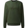 Seaweed Green